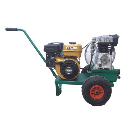 Κλαδευτικό Μηχάνημα DAMAC με Κινητήρα ROBIN 6hp